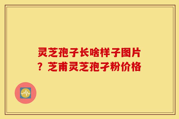 灵芝孢子长啥样子图片?芝甫灵芝孢孑粉价格-第1张图片-灵芝之家 灵芝孢子长啥样子图片?芝甫灵芝孢孑粉价格-第1张图片-灵芝之家