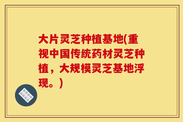 大片灵芝种植基地(重视中国传统药材灵芝种植,大规模灵芝基地浮现。)-第1张图片-灵芝之家 大片灵芝种植基地(重视中国传统药材灵芝种植,大规模灵芝基地浮现。)-第1张图片-灵芝之家