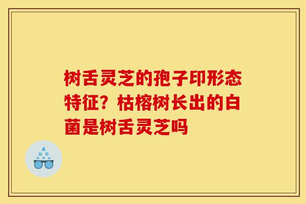 树舌灵芝的孢子印形态特征?枯榕树长出的白菌是树舌灵芝吗-第1张图片-灵芝之家 树舌灵芝的孢子印形态特征?枯榕树长出的白菌是树舌灵芝吗-第1张图片-灵芝之家