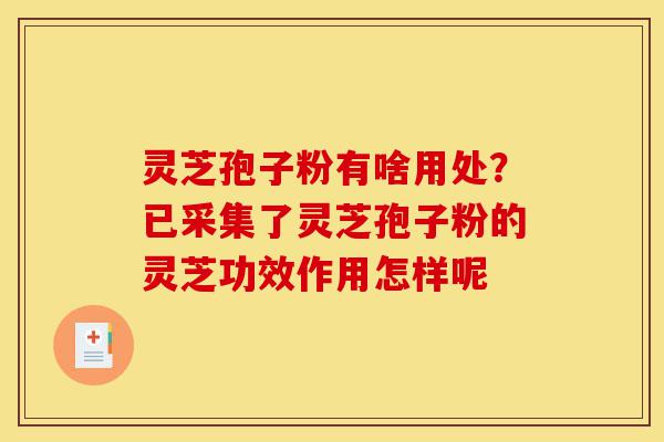 灵芝孢子粉有啥用处?已采集了灵芝孢子粉的灵芝功效作用怎样呢-第1张图片-灵芝之家 灵芝孢子粉有啥用处?已采集了灵芝孢子粉的灵芝功效作用怎样呢-第1张图片-灵芝之家