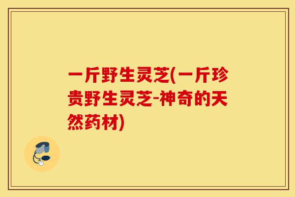一斤野生灵芝(一斤珍贵野生灵芝-神奇的天然药材)-第1张图片-灵芝之家 一斤野生灵芝(一斤珍贵野生灵芝-神奇的天然药材)-第1张图片-灵芝之家