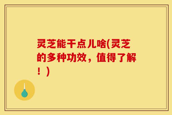 灵芝能干点儿啥(灵芝的多种功效,值得了解!)-第1张图片-灵芝之家 灵芝能干点儿啥(灵芝的多种功效,值得了解!)-第1张图片-灵芝之家