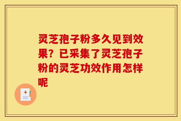 灵芝孢子粉多久见到效果?已采集了灵芝孢子粉的灵芝功效作用怎样呢-第1张图片-灵芝之家 灵芝孢子粉多久见到效果?已采集了灵芝孢子粉的灵芝功效作用怎样呢-第1张图片-灵芝之家