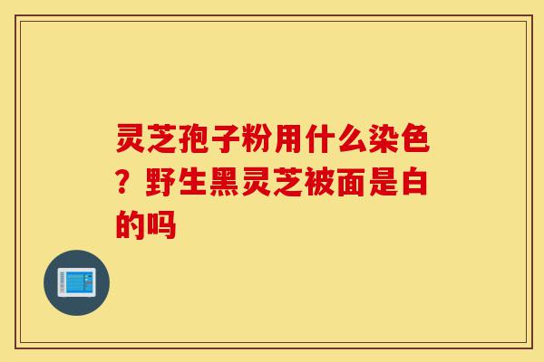 灵芝孢子粉用什么染色?野生黑灵芝被面是白的吗-第1张图片-灵芝之家 灵芝孢子粉用什么染色?野生黑灵芝被面是白的吗-第1张图片-灵芝之家