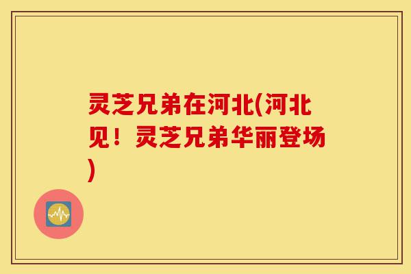 灵芝兄弟在河北(河北见!灵芝兄弟华丽登场)-第1张图片-灵芝之家 灵芝兄弟在河北(河北见!灵芝兄弟华丽登场)-第1张图片-灵芝之家