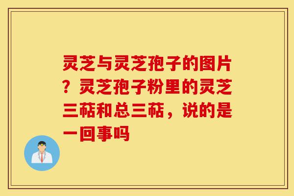 灵芝与灵芝孢子的图片?灵芝孢子粉里的灵芝三萜和总三萜,说的是一回事吗-第1张图片-灵芝之家 灵芝与灵芝孢子的图片?灵芝孢子粉里的灵芝三萜和总三萜,说的是一回事吗-第1张图片-灵芝之家