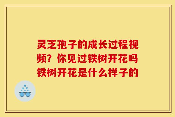 灵芝孢子的成长过程视频?你见过铁树开花吗铁树开花是什么样子的-第1张图片-灵芝之家 灵芝孢子的成长过程视频?你见过铁树开花吗铁树开花是什么样子的-第1张图片-灵芝之家
