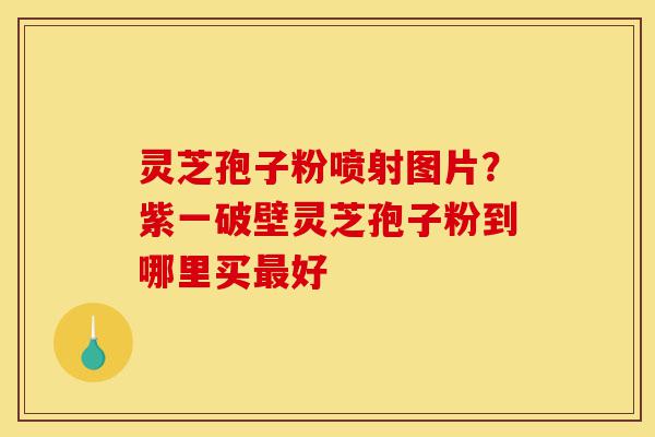 灵芝孢子粉喷射图片?紫一破壁灵芝孢子粉到哪里买最好-第1张图片-灵芝之家 灵芝孢子粉喷射图片?紫一破壁灵芝孢子粉到哪里买最好-第1张图片-灵芝之家