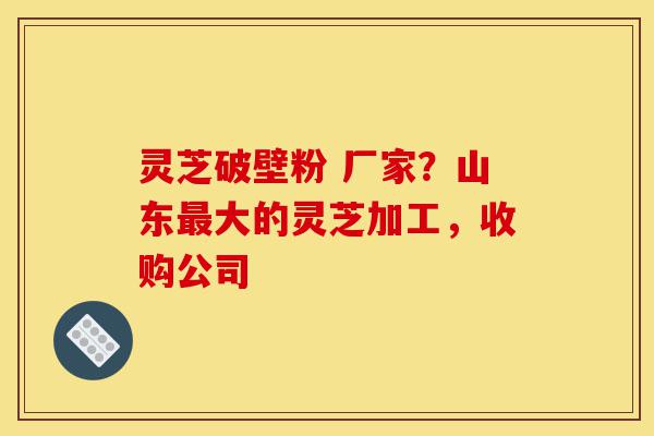 灵芝破壁粉 厂家?山东最大的灵芝加工,收购公司-第1张图片-灵芝之家 灵芝破壁粉 厂家?山东最大的灵芝加工,收购公司-第1张图片-灵芝之家