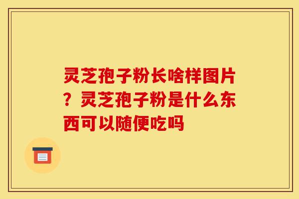 灵芝孢子粉长啥样图片?灵芝孢子粉是什么东西可以随便吃吗-第1张图片-灵芝之家 灵芝孢子粉长啥样图片?灵芝孢子粉是什么东西可以随便吃吗-第1张图片-灵芝之家