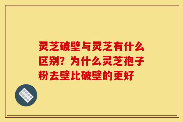 灵芝破壁与灵芝有什么区别?为什么灵芝孢子粉去壁比破壁的更好-第1张图片-灵芝之家 灵芝破壁与灵芝有什么区别?为什么灵芝孢子粉去壁比破壁的更好-第1张图片-灵芝之家