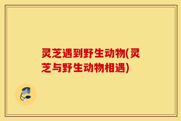 灵芝遇到野生动物(灵芝与野生动物相遇)-第1张图片-灵芝之家 灵芝遇到野生动物(灵芝与野生动物相遇)-第1张图片-灵芝之家
