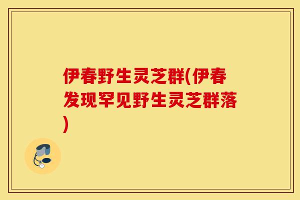 伊春野生灵芝群(伊春发现罕见野生灵芝群落)-第1张图片-灵芝之家