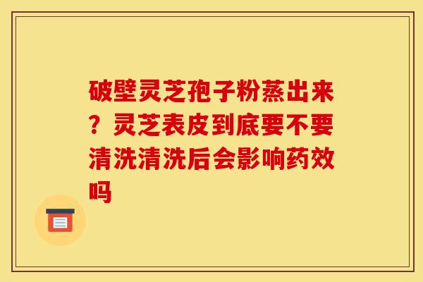 破壁灵芝孢子粉蒸出来？灵芝表皮到底要不要清洗清洗后会影响药效吗-第1张图片-灵芝之家