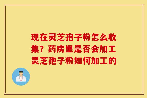 现在灵芝孢子粉怎么收集?药房里是否会加工灵芝孢子粉如何加工的-第1张图片-灵芝之家 现在灵芝孢子粉怎么收集?药房里是否会加工灵芝孢子粉如何加工的-第1张图片-灵芝之家