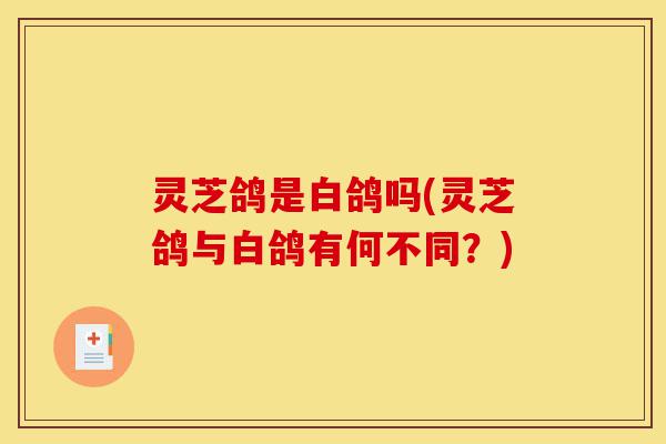 灵芝鸽是白鸽吗(灵芝鸽与白鸽有何不同?)-第1张图片-灵芝之家 灵芝鸽是白鸽吗(灵芝鸽与白鸽有何不同?)-第1张图片-灵芝之家