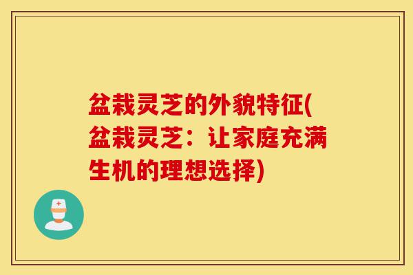 盆栽灵芝的外貌特征(盆栽灵芝:让家庭充满生机的理想选择)-第1张图片-灵芝之家 盆栽灵芝的外貌特征(盆栽灵芝:让家庭充满生机的理想选择)-第1张图片-灵芝之家