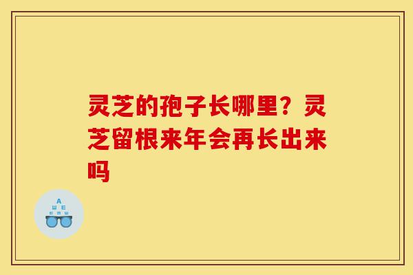 灵芝的孢子长哪里?灵芝留根来年会再长出来吗-第1张图片-灵芝之家 灵芝的孢子长哪里?灵芝留根来年会再长出来吗-第1张图片-灵芝之家