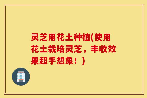 灵芝用花土种植(使用花土栽培灵芝,丰收效果超乎想象!)-第1张图片-灵芝之家 灵芝用花土种植(使用花土栽培灵芝,丰收效果超乎想象!)-第1张图片-灵芝之家