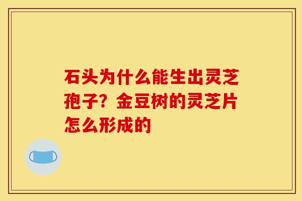 石头为什么能生出灵芝孢子？金豆树的灵芝片怎么形成的-第1张图片-灵芝之家