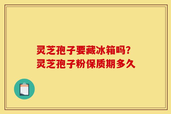 灵芝孢子要藏冰箱吗?灵芝孢子粉保质期多久-第1张图片-灵芝之家 灵芝孢子要藏冰箱吗?灵芝孢子粉保质期多久-第1张图片-灵芝之家