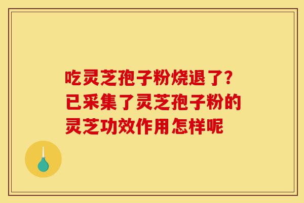 吃灵芝孢子粉烧退了?已采集了灵芝孢子粉的灵芝功效作用怎样呢-第1张图片-灵芝之家 吃灵芝孢子粉烧退了?已采集了灵芝孢子粉的灵芝功效作用怎样呢-第1张图片-灵芝之家