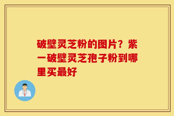 破壁灵芝粉的图片?紫一破壁灵芝孢子粉到哪里买最好-第1张图片-灵芝之家 破壁灵芝粉的图片?紫一破壁灵芝孢子粉到哪里买最好-第1张图片-灵芝之家