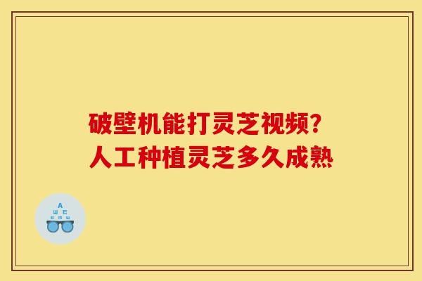 破壁机能打灵芝视频?人工种植灵芝多久成熟-第1张图片-灵芝之家 破壁机能打灵芝视频?人工种植灵芝多久成熟-第1张图片-灵芝之家