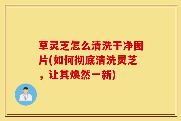 草灵芝怎么清洗干净图片(如何彻底清洗灵芝,让其焕然一新)-第1张图片-灵芝之家 草灵芝怎么清洗干净图片(如何彻底清洗灵芝,让其焕然一新)-第1张图片-灵芝之家