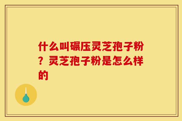 什么叫碾压灵芝孢子粉?灵芝孢子粉是怎么样的-第1张图片-灵芝之家 什么叫碾压灵芝孢子粉?灵芝孢子粉是怎么样的-第1张图片-灵芝之家