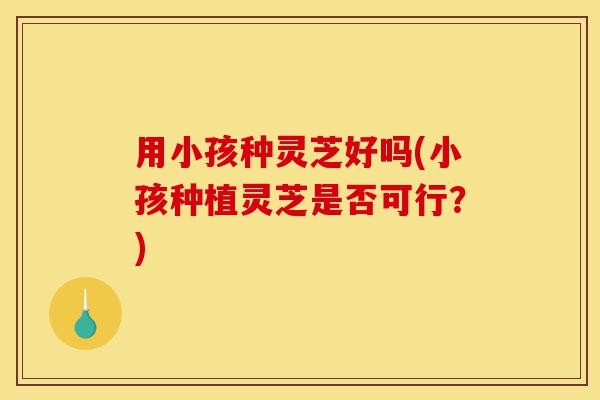 用小孩种灵芝好吗(小孩种植灵芝是否可行?)-第1张图片-灵芝之家 用小孩种灵芝好吗(小孩种植灵芝是否可行?)-第1张图片-灵芝之家