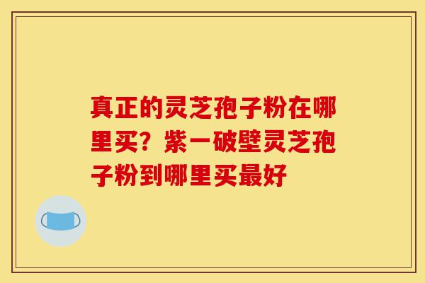 真正的灵芝孢子粉在哪里买?紫一破壁灵芝孢子粉到哪里买最好-第1张图片-灵芝之家 真正的灵芝孢子粉在哪里买?紫一破壁灵芝孢子粉到哪里买最好-第1张图片-灵芝之家