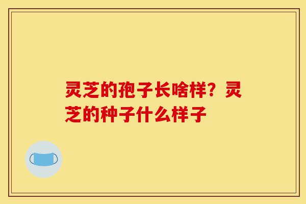 灵芝的孢子长啥样？灵芝的种子什么样子-第1张图片-灵芝之家