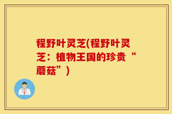 程野叶灵芝(程野叶灵芝:植物王国的珍贵“蘑菇”)-第1张图片-灵芝之家 程野叶灵芝(程野叶灵芝:植物王国的珍贵“蘑菇”)-第1张图片-灵芝之家