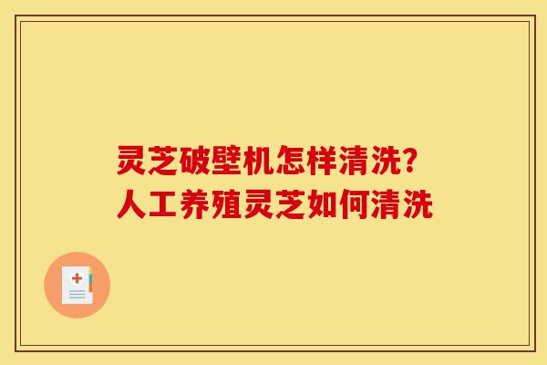 灵芝破壁机怎样清洗?人工养殖灵芝如何清洗-第1张图片-灵芝之家 灵芝破壁机怎样清洗?人工养殖灵芝如何清洗-第1张图片-灵芝之家