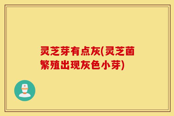 灵芝芽有点灰(灵芝菌繁殖出现灰色小芽)-第1张图片-灵芝之家 灵芝芽有点灰(灵芝菌繁殖出现灰色小芽)-第1张图片-灵芝之家