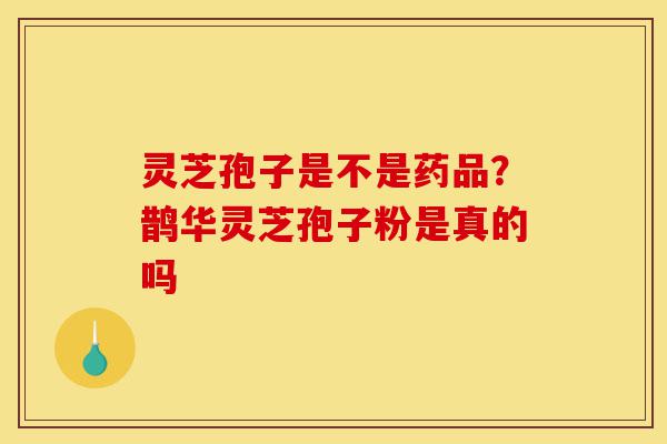 灵芝孢子是不是药品？鹊华灵芝孢子粉是真的吗-第1张图片-灵芝之家