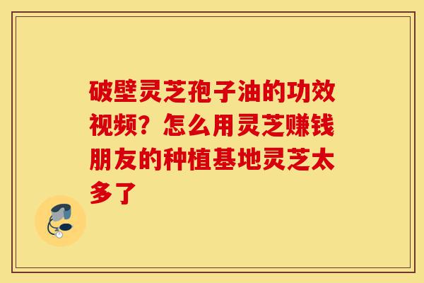 破壁灵芝孢子油的功效视频?怎么用灵芝赚钱朋友的种植基地灵芝太多了-第1张图片-灵芝之家 破壁灵芝孢子油的功效视频?怎么用灵芝赚钱朋友的种植基地灵芝太多了-第1张图片-灵芝之家