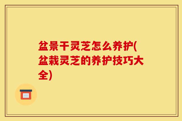 盆景干灵芝怎么养护(盆栽灵芝的养护技巧大全)-第1张图片-灵芝之家