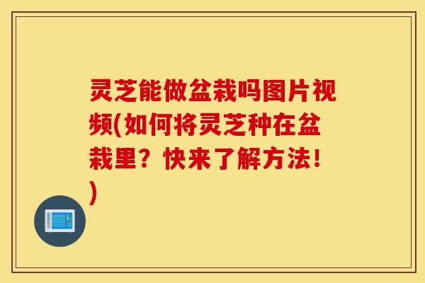 灵芝能做盆栽吗图片视频(如何将灵芝种在盆栽里?快来了解方法!)-第1张图片-灵芝之家 灵芝能做盆栽吗图片视频(如何将灵芝种在盆栽里?快来了解方法!)-第1张图片-灵芝之家