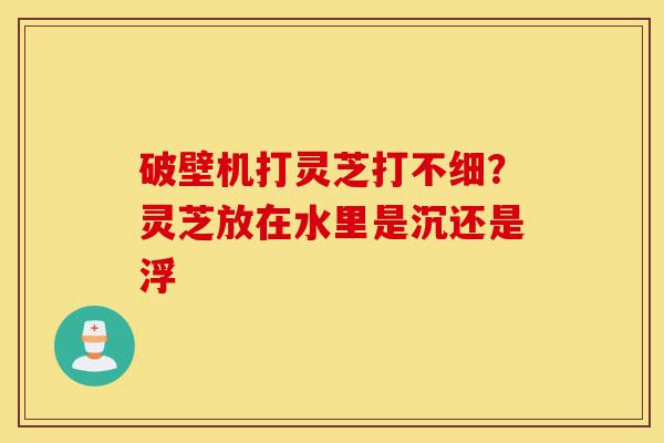 破壁机打灵芝打不细？灵芝放在水里是沉还是浮-第1张图片-灵芝之家
