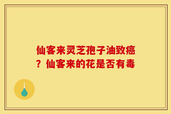 仙客来灵芝孢子油致癌?仙客来的花是否有毒-第1张图片-灵芝之家 仙客来灵芝孢子油致癌?仙客来的花是否有毒-第1张图片-灵芝之家