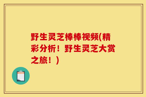 野生灵芝棒棒视频(精彩分析!野生灵芝大赏之旅!)-第1张图片-灵芝之家 野生灵芝棒棒视频(精彩分析!野生灵芝大赏之旅!)-第1张图片-灵芝之家