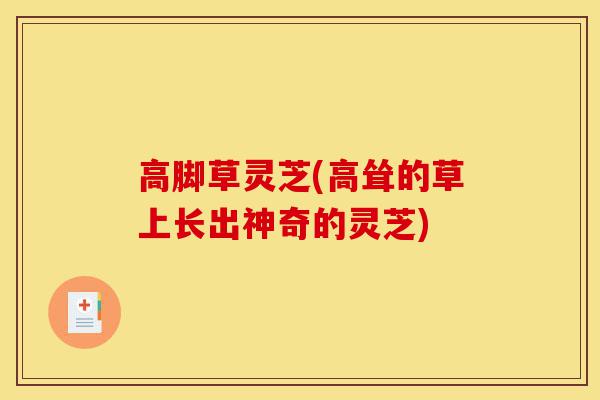 高脚草灵芝(高耸的草上长出神奇的灵芝)-第1张图片-灵芝之家