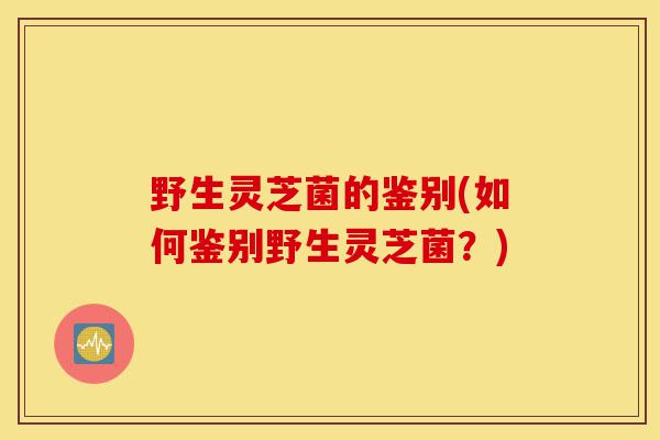 野生灵芝菌的鉴别(如何鉴别野生灵芝菌?)-第1张图片-灵芝之家 野生灵芝菌的鉴别(如何鉴别野生灵芝菌?)-第1张图片-灵芝之家