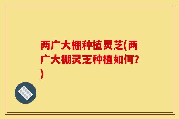 两广大棚种植灵芝(两广大棚灵芝种植如何?)-第1张图片-灵芝之家 两广大棚种植灵芝(两广大棚灵芝种植如何?)-第1张图片-灵芝之家