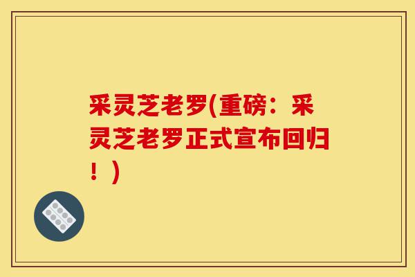 采灵芝老罗(重磅:采灵芝老罗正式宣布回归!)-第1张图片-灵芝之家 采灵芝老罗(重磅:采灵芝老罗正式宣布回归!)-第1张图片-灵芝之家