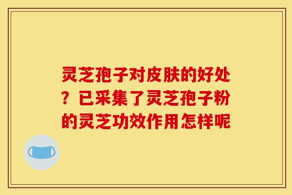 灵芝孢子对皮肤的好处?已采集了灵芝孢子粉的灵芝功效作用怎样呢-第1张图片-灵芝之家 灵芝孢子对皮肤的好处?已采集了灵芝孢子粉的灵芝功效作用怎样呢-第1张图片-灵芝之家