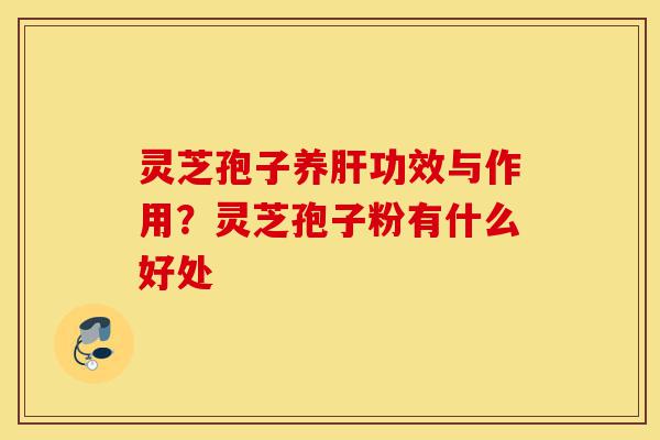 灵芝孢子养肝功效与作用？灵芝孢子粉有什么好处-第1张图片-灵芝之家