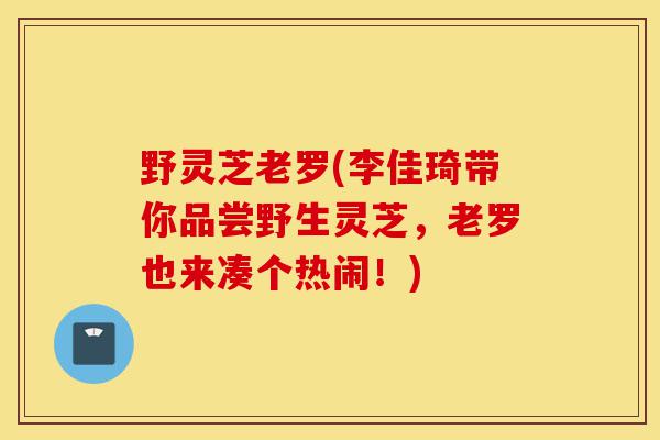 野灵芝老罗(李佳琦带你品尝野生灵芝,老罗也来凑个热闹!)-第1张图片-灵芝之家 野灵芝老罗(李佳琦带你品尝野生灵芝,老罗也来凑个热闹!)-第1张图片-灵芝之家